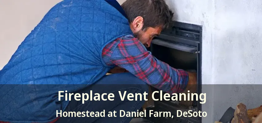 Fireplace Vent Cleaning Homestead at Daniel Farm, DeSoto - TX