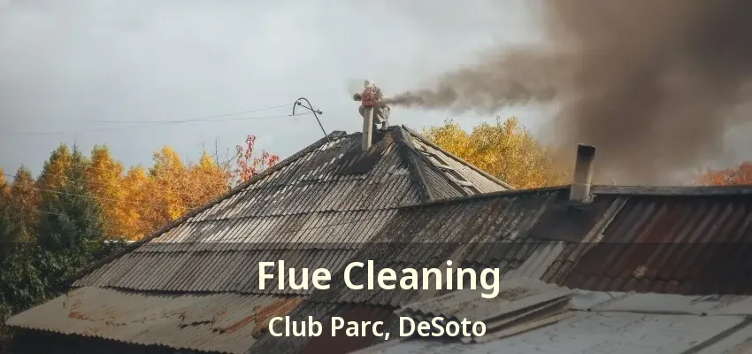 Flue Cleaning Club Parc, DeSoto - TX