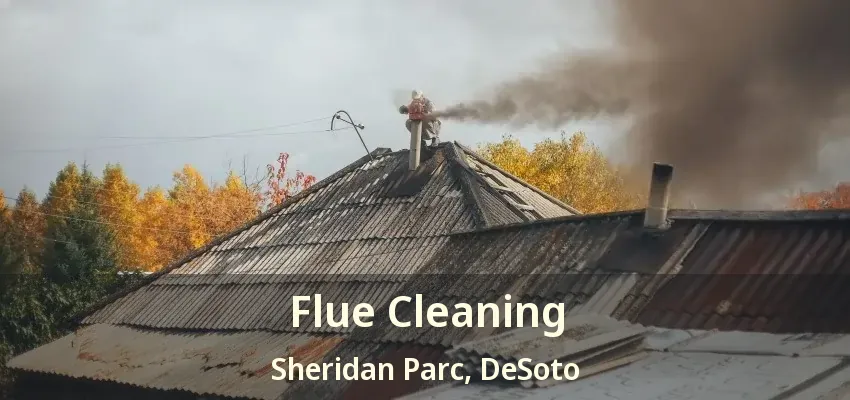 Flue Cleaning Sheridan Parc, DeSoto - TX