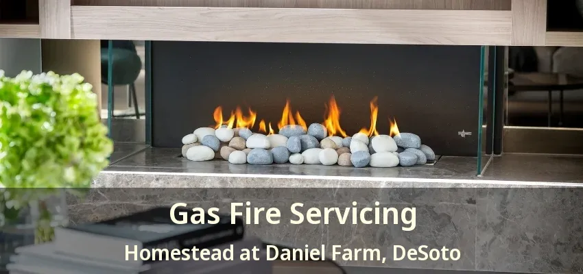 Gas Fire Servicing Homestead at Daniel Farm, DeSoto - TX
