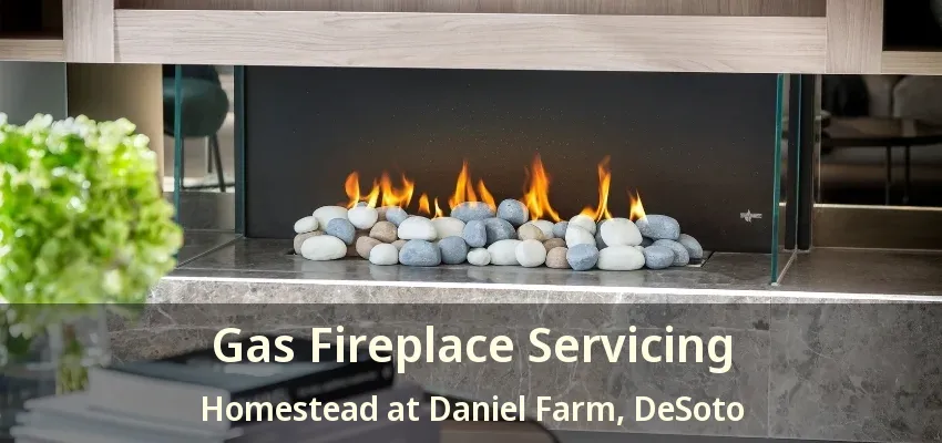 Gas Fireplace Servicing Homestead at Daniel Farm, DeSoto - TX