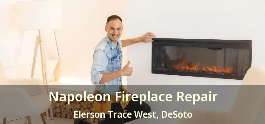 Napoleon Fireplace Repair Elerson Trace West, DeSoto - TX