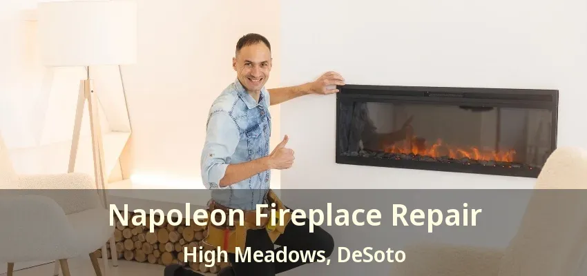 Napoleon Fireplace Repair High Meadows, DeSoto - TX