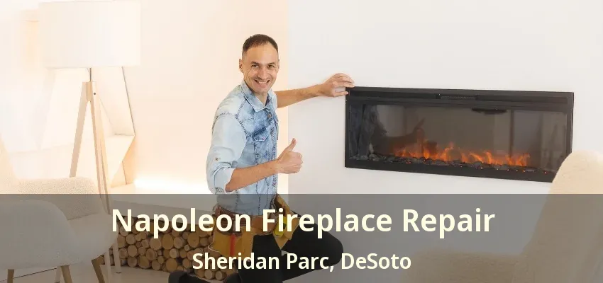 Napoleon Fireplace Repair Sheridan Parc, DeSoto - TX