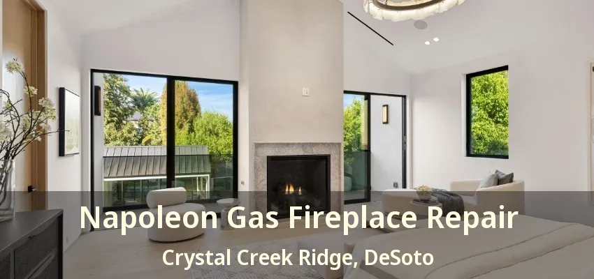 Napoleon Gas Fireplace Repair Crystal Creek Ridge, DeSoto - TX