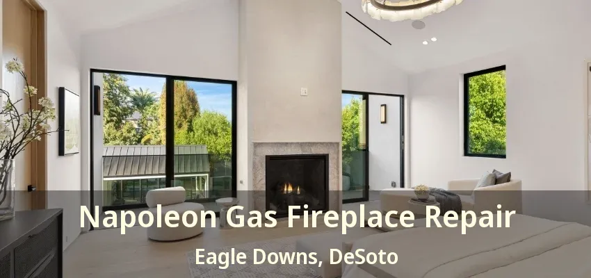 Napoleon Gas Fireplace Repair Eagle Downs, DeSoto - TX