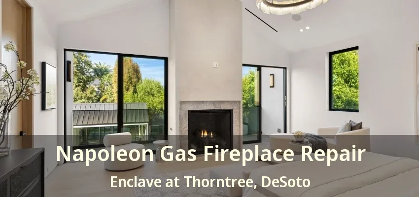 Napoleon Gas Fireplace Repair Enclave at Thorntree, DeSoto - TX