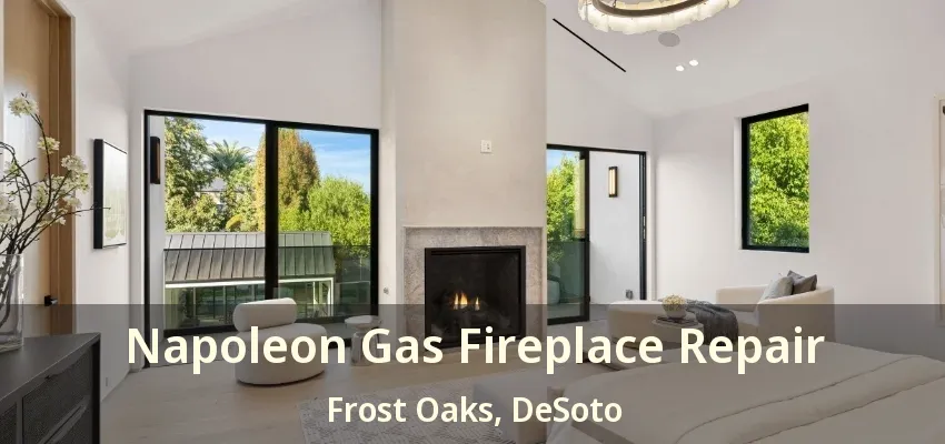 Napoleon Gas Fireplace Repair Frost Oaks, DeSoto - TX