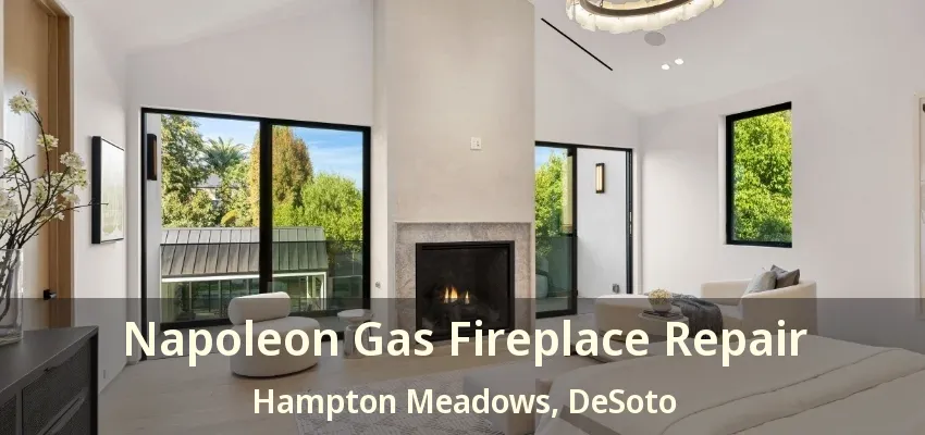 Napoleon Gas Fireplace Repair Hampton Meadows, DeSoto - TX