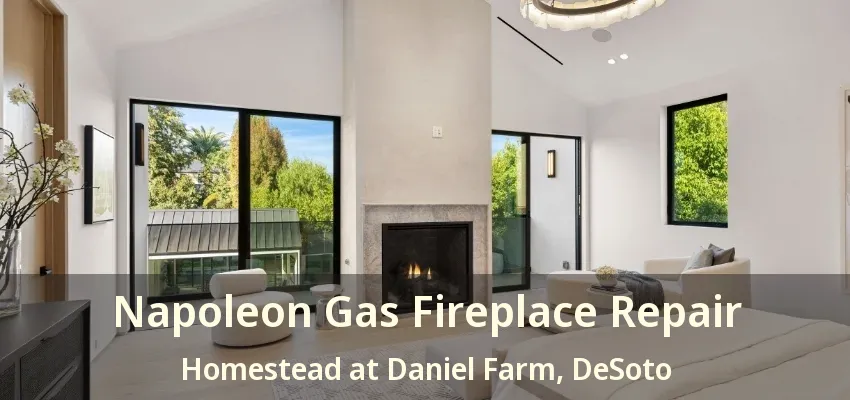 Napoleon Gas Fireplace Repair Homestead at Daniel Farm, DeSoto - TX