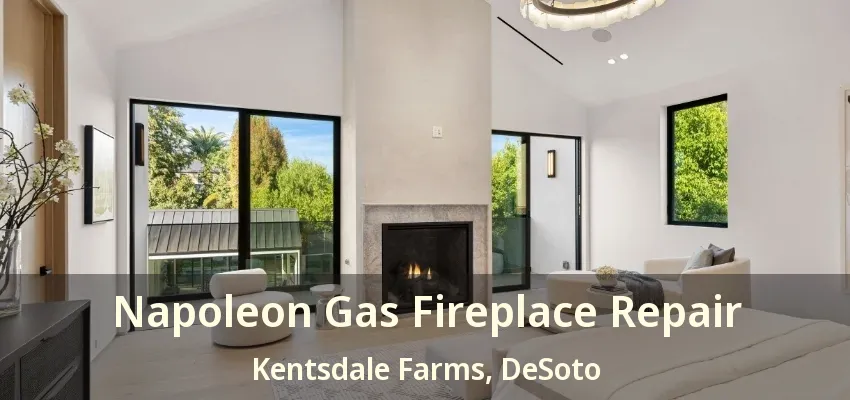 Napoleon Gas Fireplace Repair Kentsdale Farms, DeSoto - TX