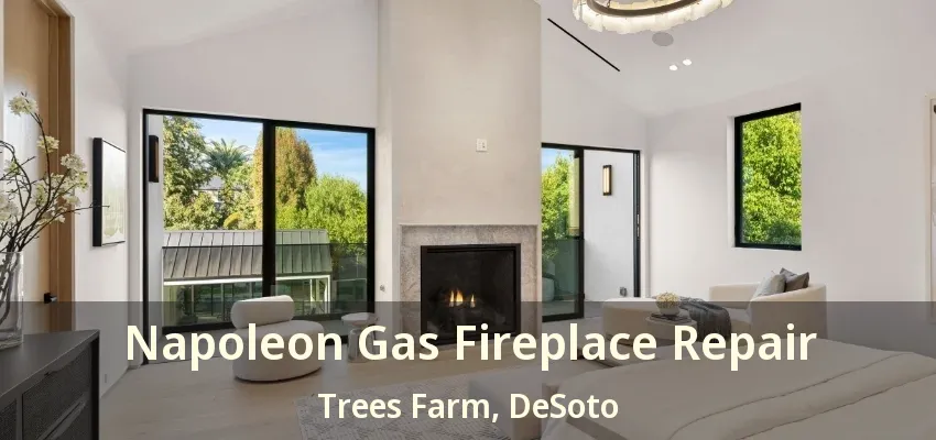 Napoleon Gas Fireplace Repair Trees Farm, DeSoto - TX