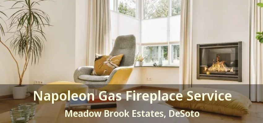 Napoleon Gas Fireplace Service Meadow Brook Estates, DeSoto - TX