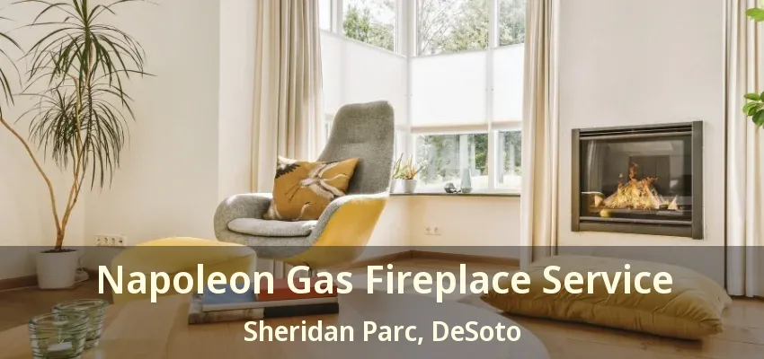 Napoleon Gas Fireplace Service Sheridan Parc, DeSoto - TX