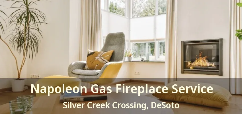 Napoleon Gas Fireplace Service Silver Creek Crossing, DeSoto - TX