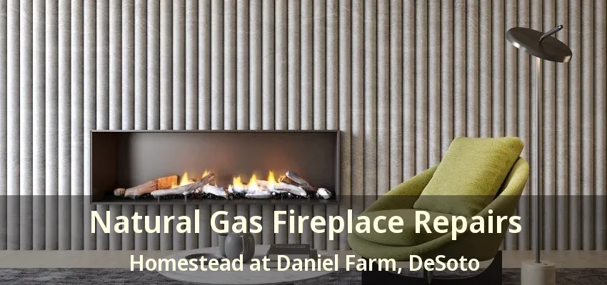 Natural Gas Fireplace Repairs Homestead at Daniel Farm, DeSoto - TX
