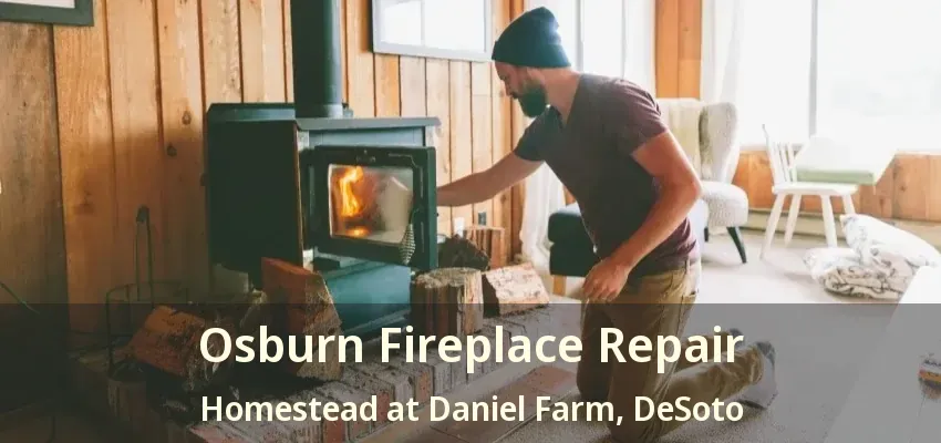Osburn Fireplace Repair Homestead at Daniel Farm, DeSoto - TX
