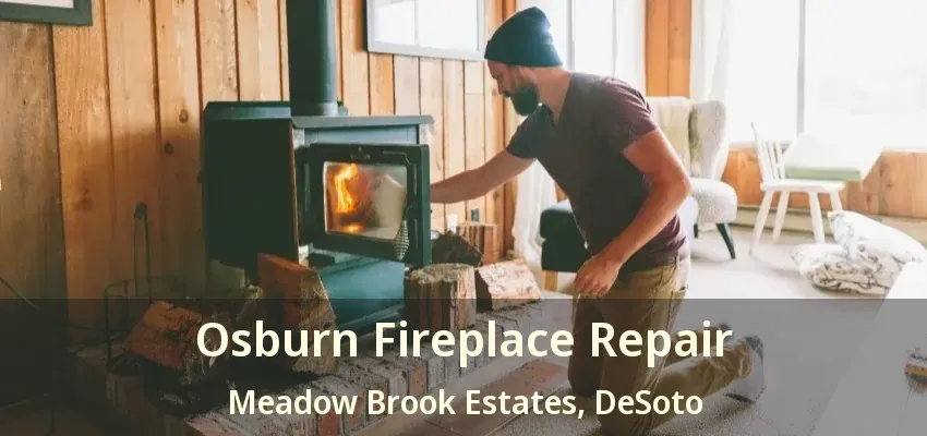 Osburn Fireplace Repair Meadow Brook Estates, DeSoto - TX