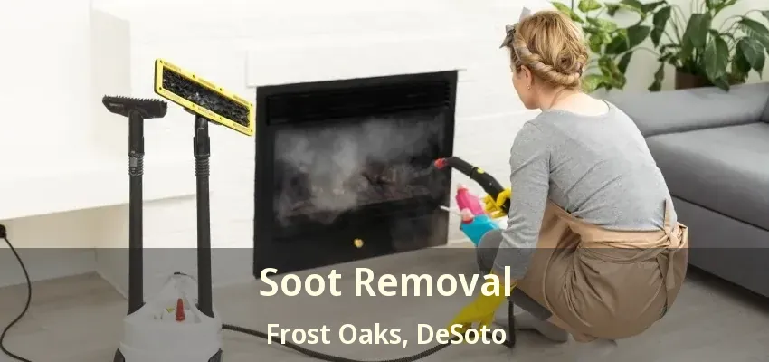 Soot Removal Frost Oaks, DeSoto - TX