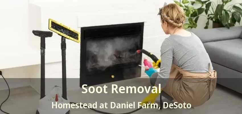 Soot Removal Homestead at Daniel Farm, DeSoto - TX