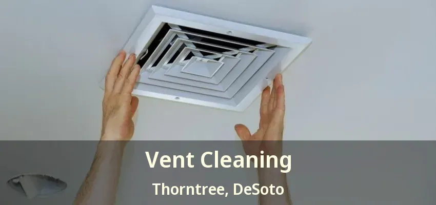 Vent Cleaning Thorntree, DeSoto - TX