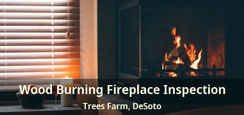 Wood Burning Fireplace Inspection Trees Farm, DeSoto - TX