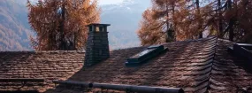 Chimney Animal Removal DeSoto