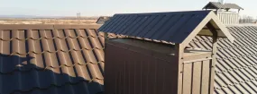 Chimney Cap Services DeSoto