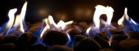 Gas Fireplace Embers DeSoto