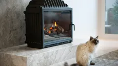 Wood Burning Fireplace Repair DeSoto